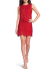 Red lace dress worn by a model on a white background