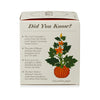 Half Moon Pumpkin Candle