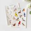 Sticker Sheet